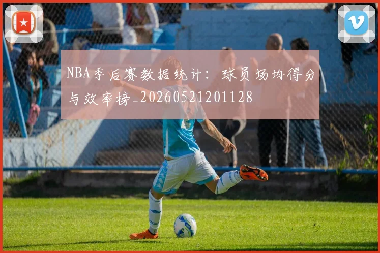 NBA季后赛数据统计：球员场均得分与效率榜_20260521201128